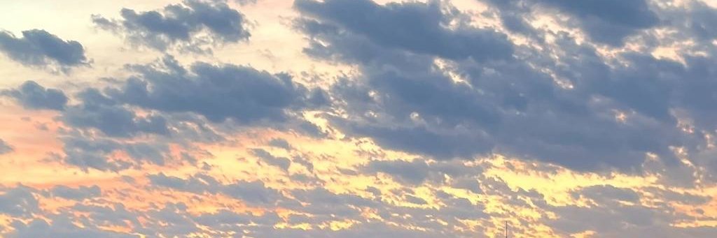 Evelyn Miller banner