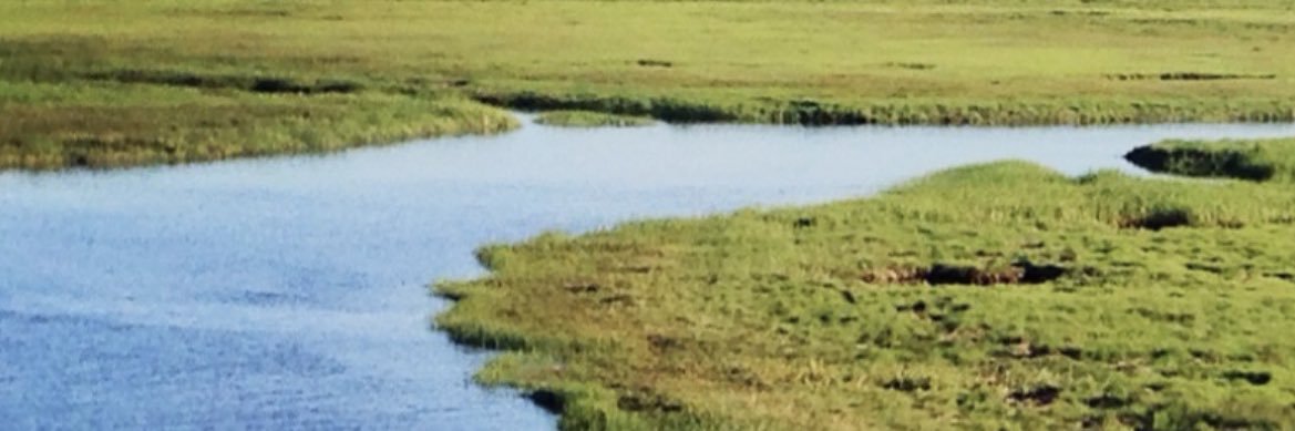MaureenWolf1's profile banner image
