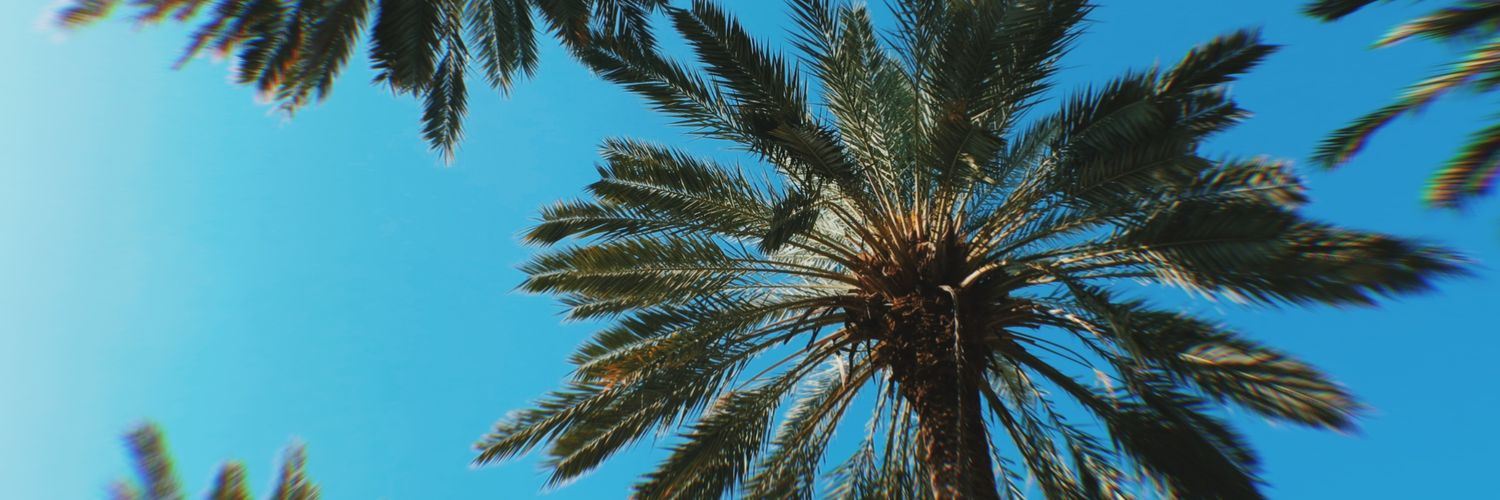 AnthonyOsejo's profile banner image