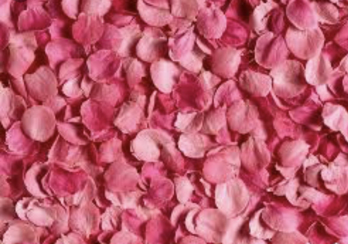 syyddee's profile banner image