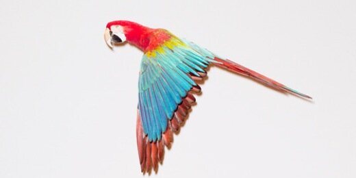 natalieblacker's profile banner image
