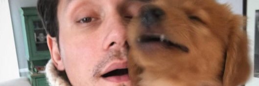 stef_lip's profile banner image