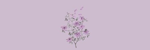 matar5464's profile banner image