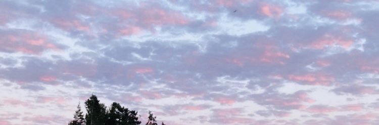 missjobb's profile banner image