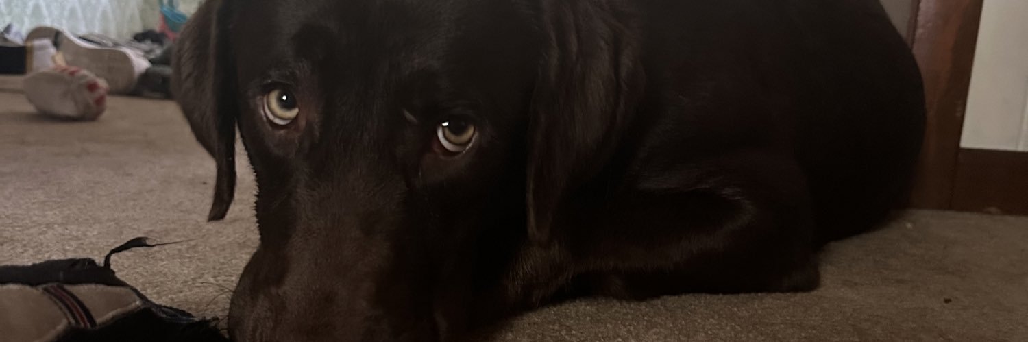jordyn0219's profile banner image