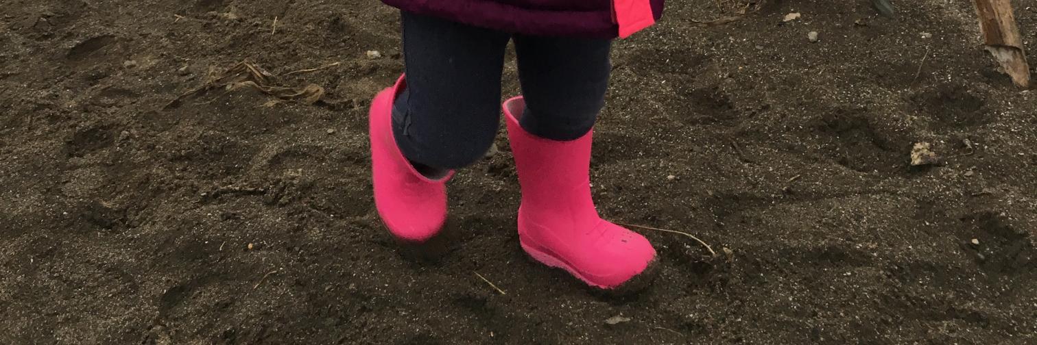 Melissa Biederman banner