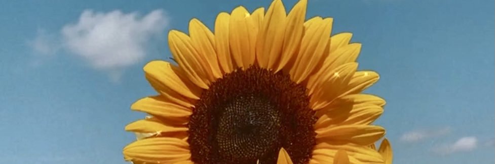 TheMedusaTTV's profile banner image