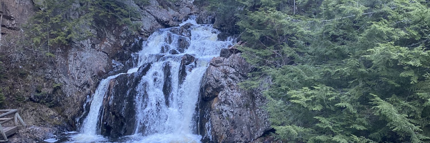 Sereɴα Sтαrr (she/they) banner