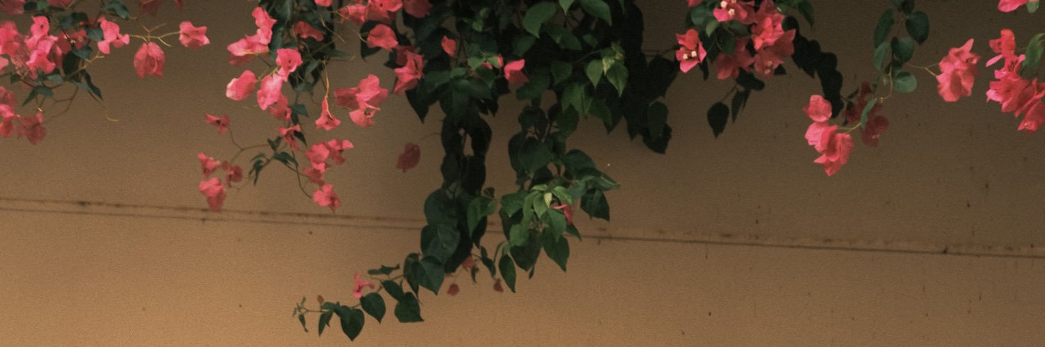 chloe_drb's profile banner image