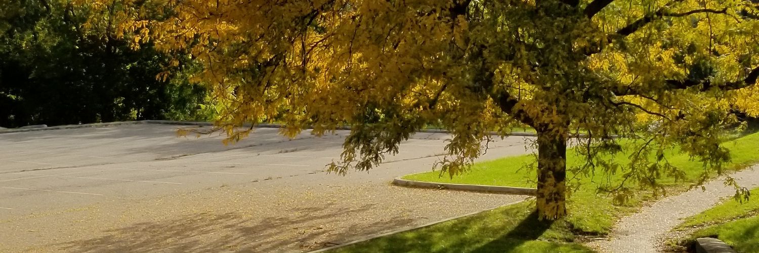 Kylee_nicle's profile banner image