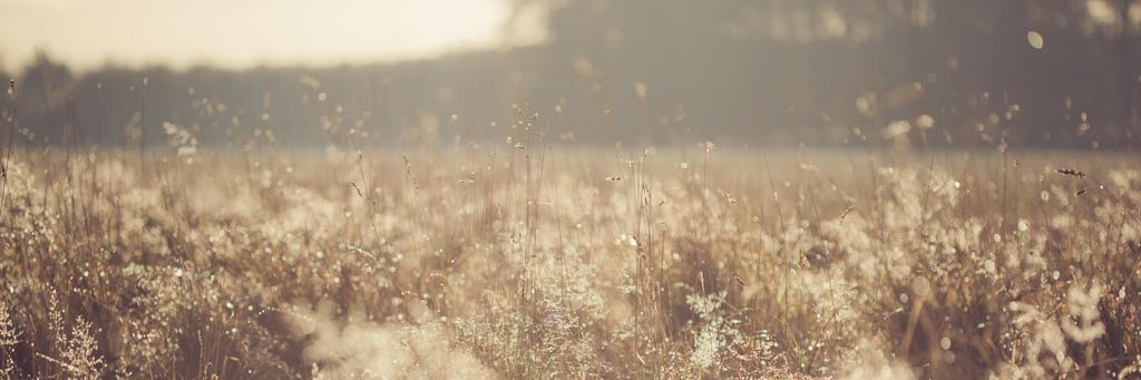 fromthehill_'s profile banner image
