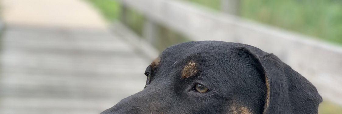 jonesy_53's profile banner image