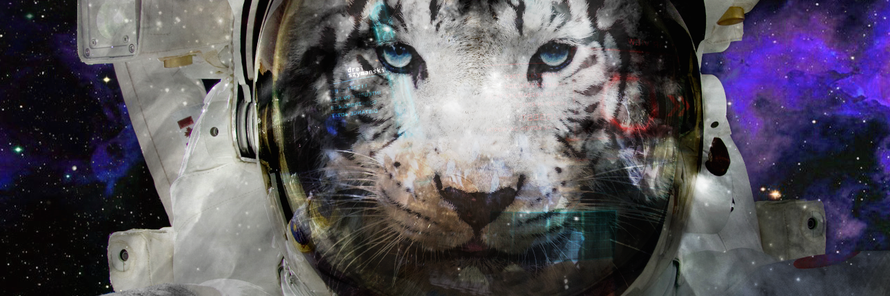 _andrei's profile banner image