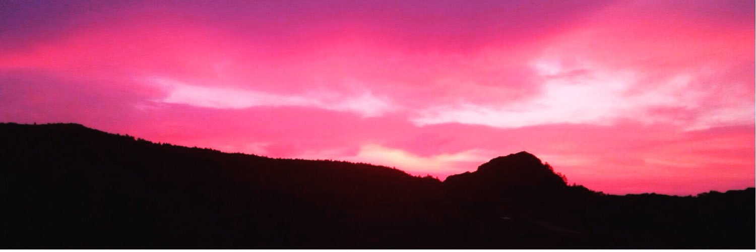 lollorisso1's profile banner image