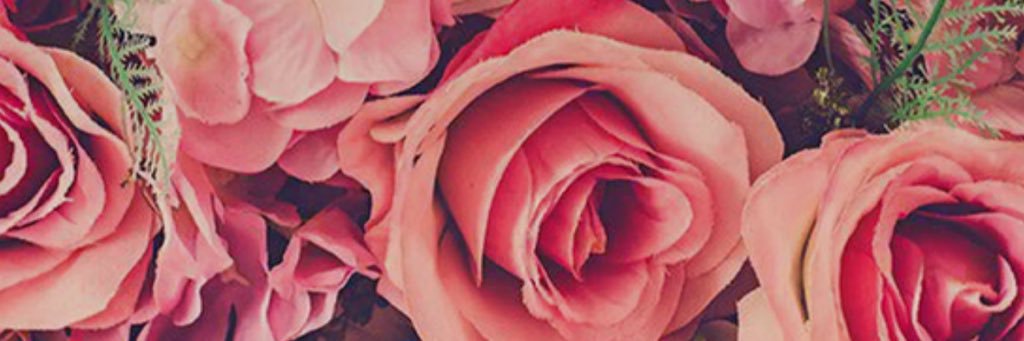 ChloeWickerman's profile banner image