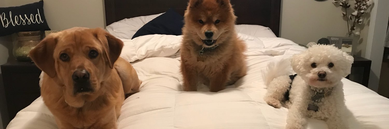 AmandaRoseDaily's profile banner image