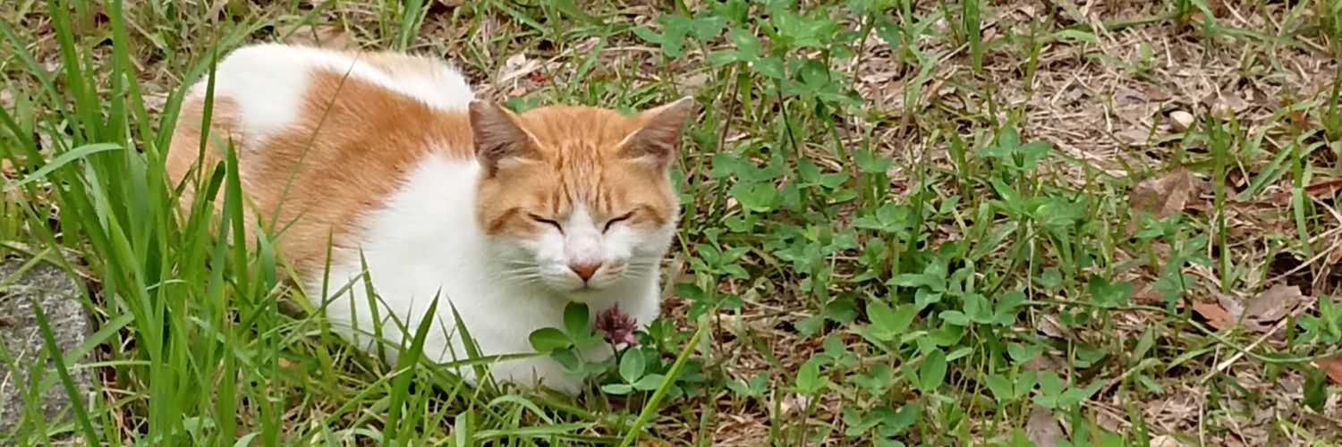 ✘スガヒデ🥔©️誤字に夢中(写術亭 無楽) banner