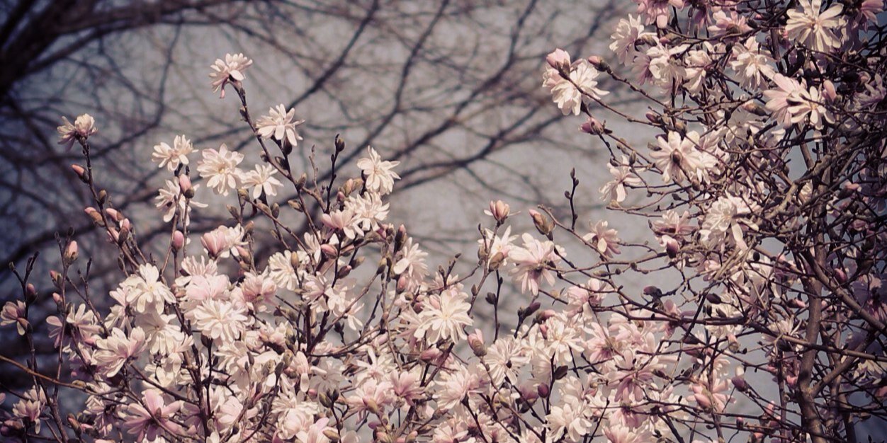 meshell6192's profile banner image