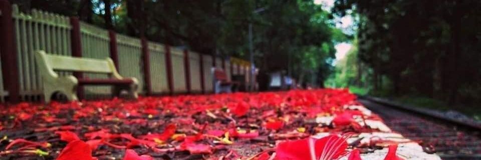 Awaneesh Jaiswal banner