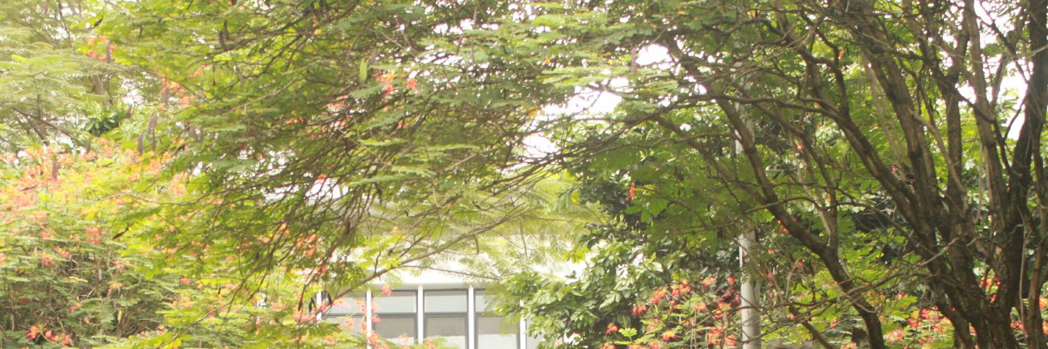 UKJ ITB banner
