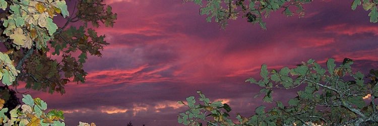 AvianaCarbonee's profile banner image