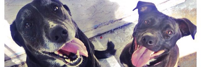 BreanneWoodgate's profile banner image