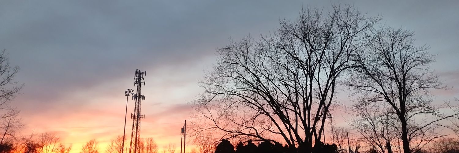TemperedSkull's profile banner image
