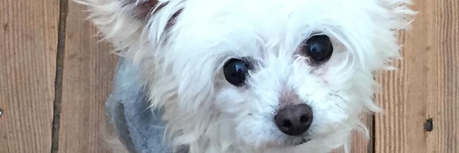 SueOtten's profile banner image