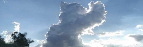 hade83353717's profile banner image