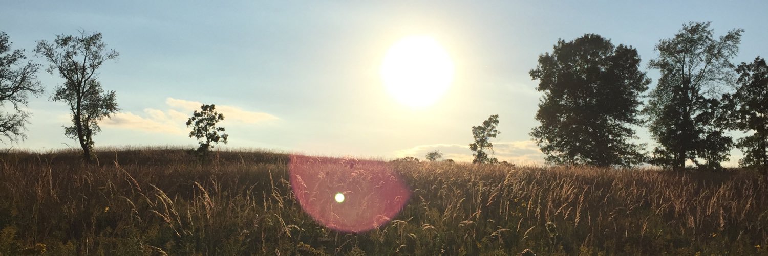 natt_fisch's profile banner image