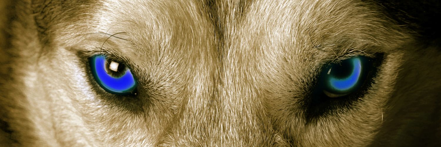 Futture_Success's profile banner image