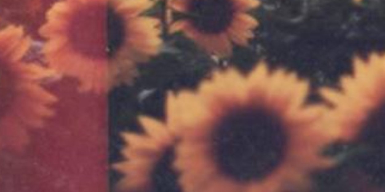 tessskyba's profile banner image