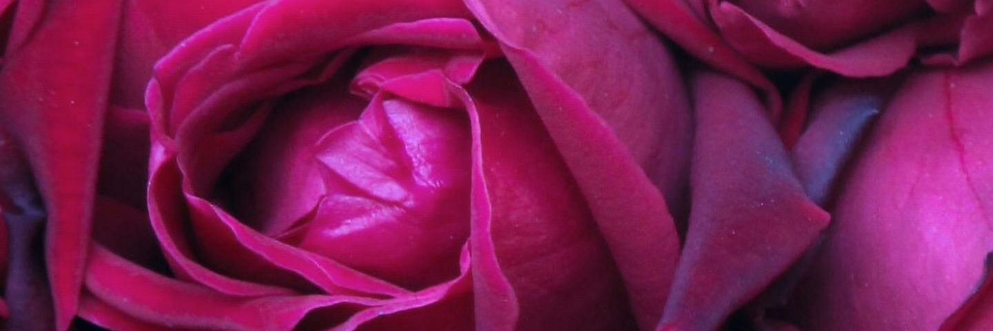 Soou_samy's profile banner image
