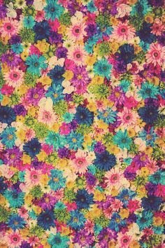 carelliflor's profile banner image