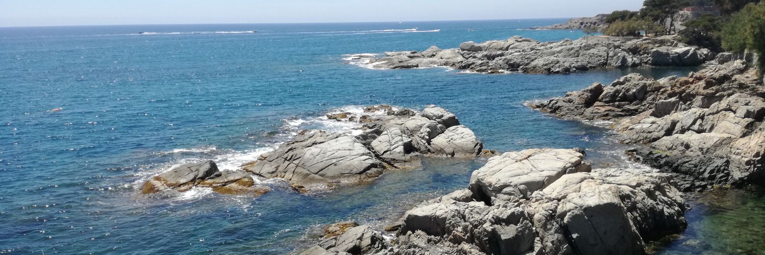 Ruben Ventura banner