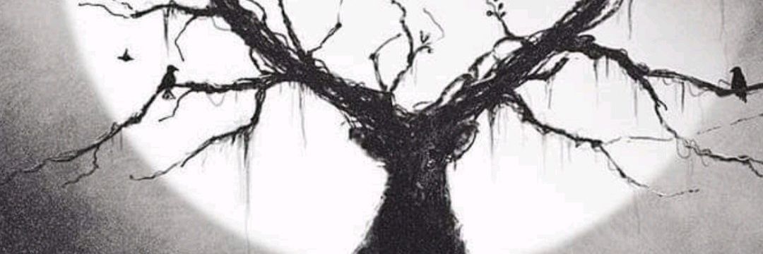 zerozagaon's profile banner image