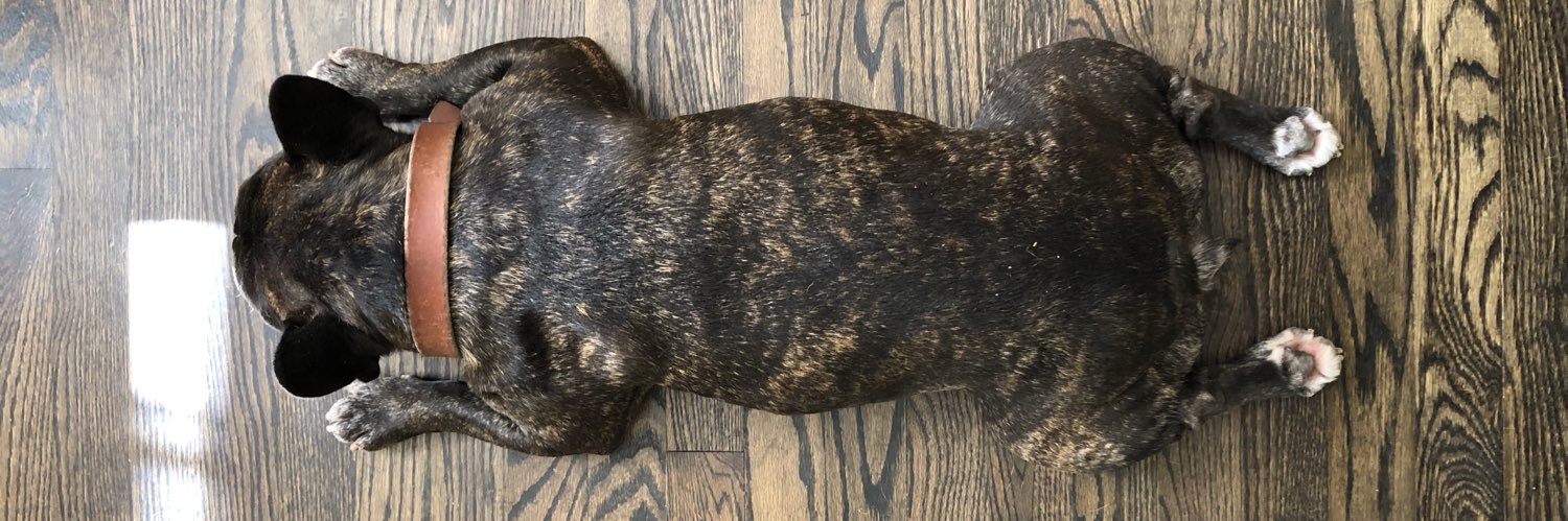 Kellen McGregor banner