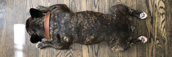 mmfkellen Profile Banner