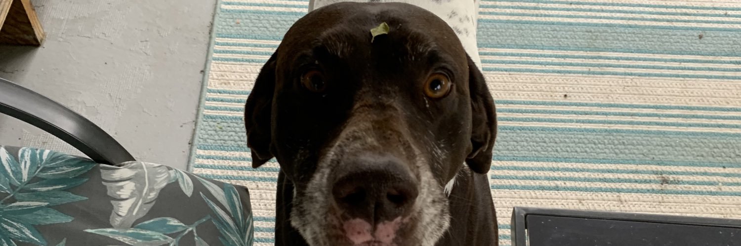 jamie_zeis's profile banner image
