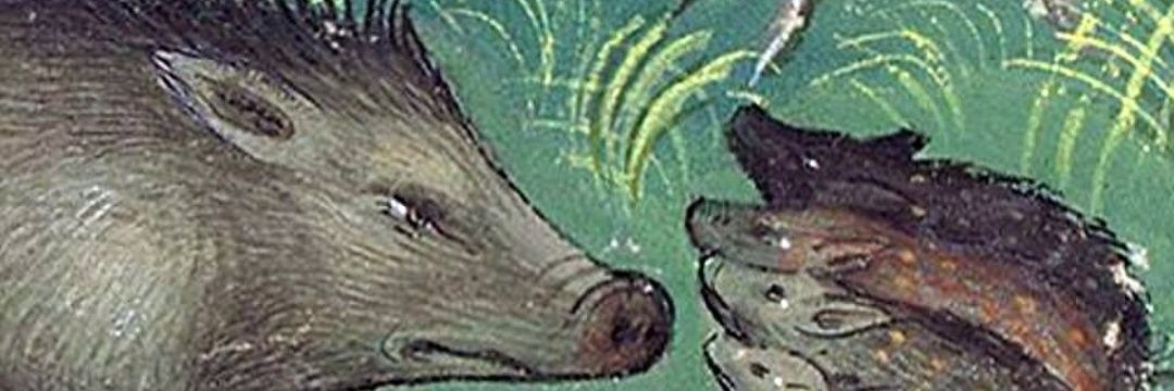 assassin bug's creed banner