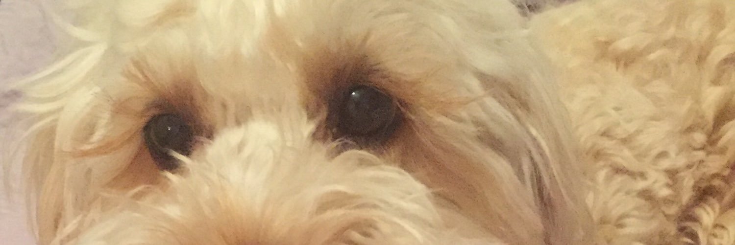 CutePoison10's profile banner image