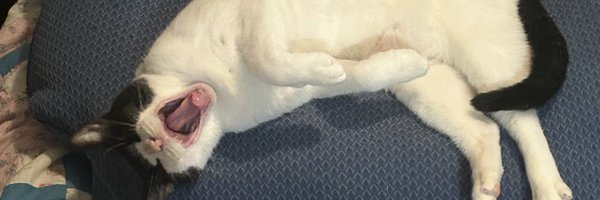 mikef3825 Profile Banner