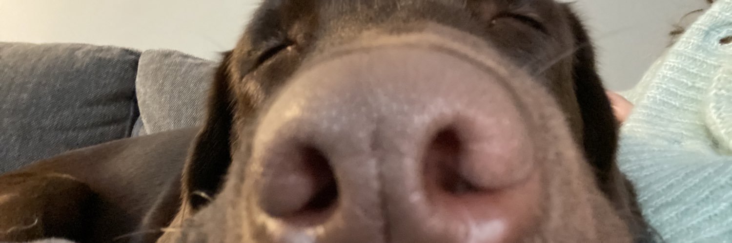 MathildeFalley's profile banner image