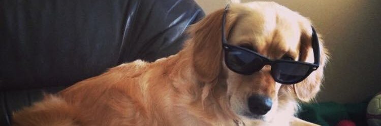 jacnic's profile banner image