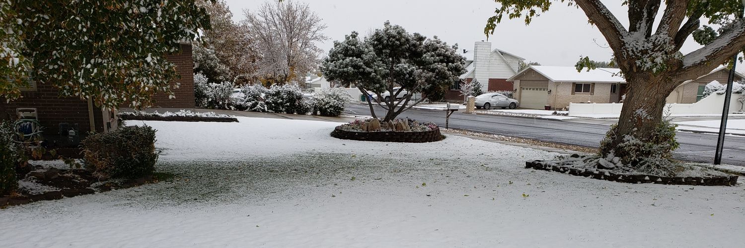 snow_jesse's profile banner image