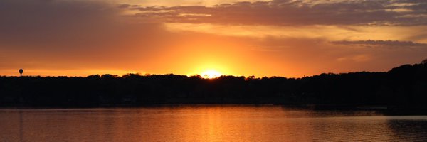 alex15angus Profile Banner