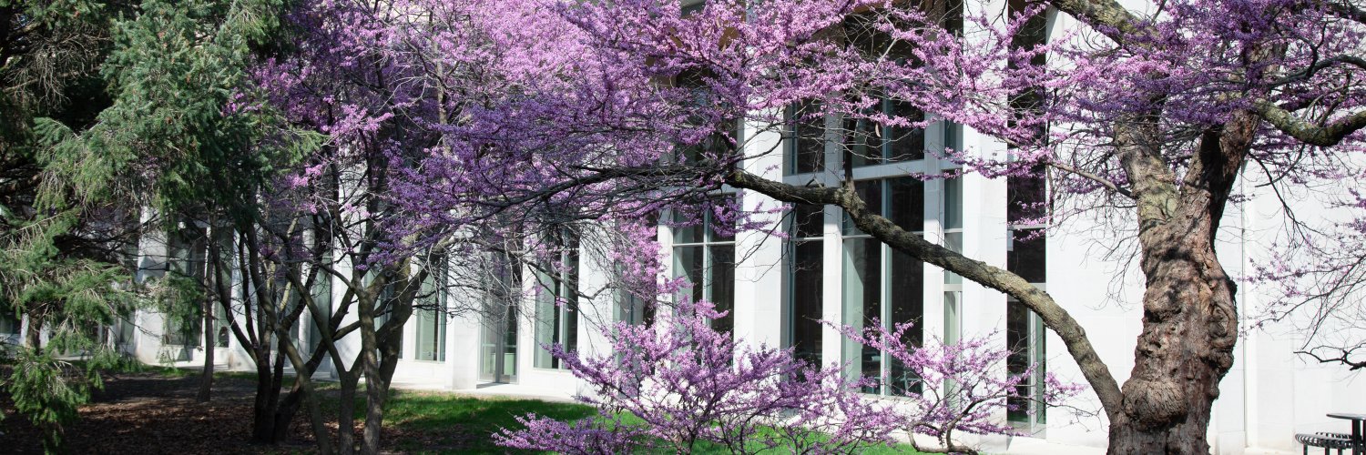 IvyIowaState's profile banner image