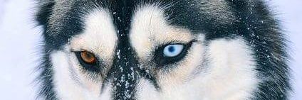 thecurutss's profile banner image