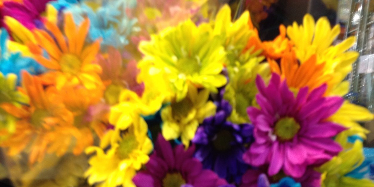 SanciaMacNeil's profile banner image