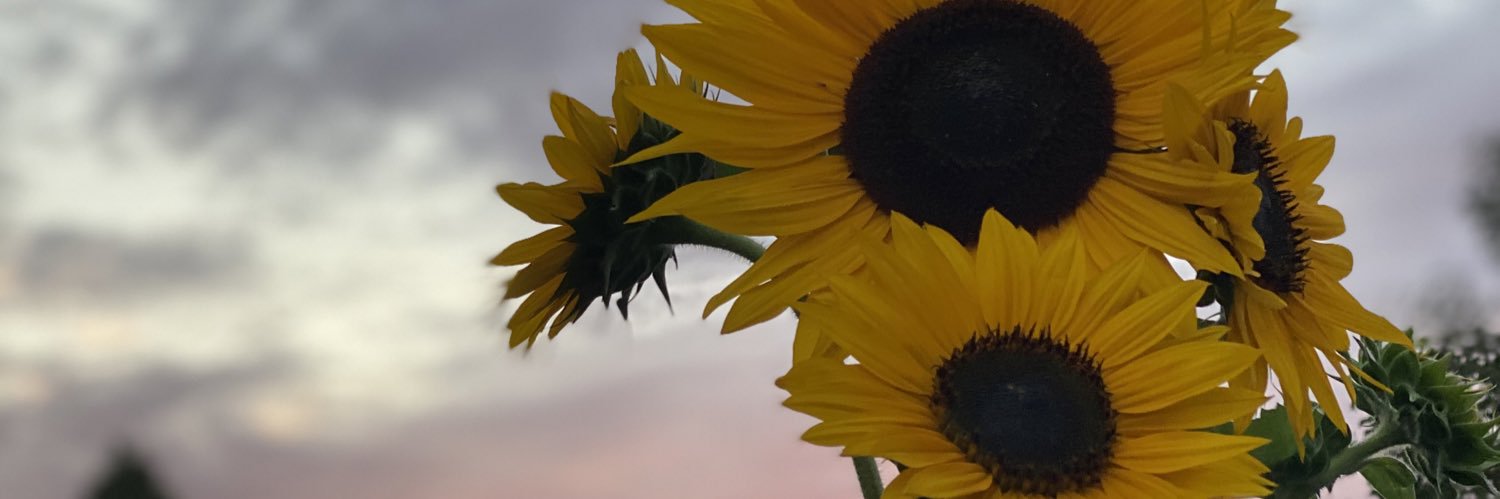 KaylaCuccio's profile banner image